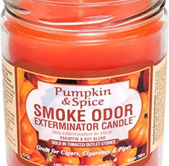 Smoke Odor Exterminator 13 oz Jar Candle Pumpkin & Spice Sale