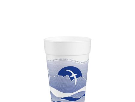 DART 20J16H Horizon Foam Cup, Hot Cold, 20oz., Printed, Blueberry White, 25 Per Bag (Case of 20 Bags) Sale