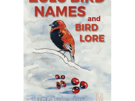 Zulu Bird Names and Bird Lore by Adrian Koopman [New] For Cheap