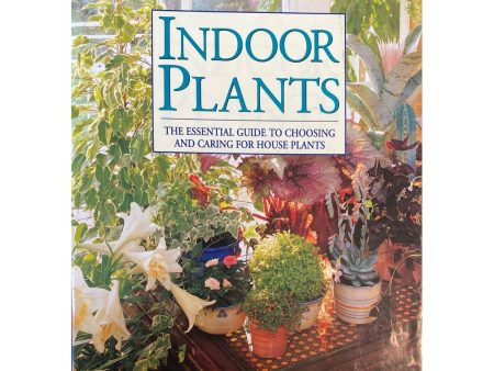 Indoor Plants: The Essential Guide to Choosing and Caring for House Plants by Jane Courtier & Graham Clarke Online Sale